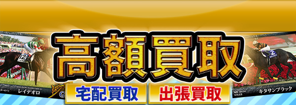 国内外の人気が集結 ホースレーシングカード 酒井学 直筆サインカード