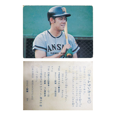 カルビー プロ野球カード ホームランカード 1973年 田淵幸一