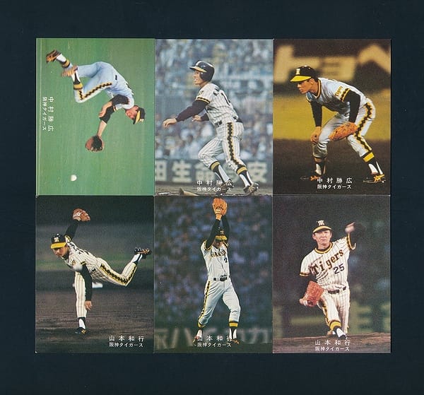 カルビープロ野球カード1978年阪神タイガース田淵幸一-