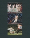 カルビー プロ野球カード 1977年 王貞治 756号 47 51 58
