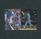 カルビー プロ野球カード 1982年 376 谷沢健一 377 田尾
