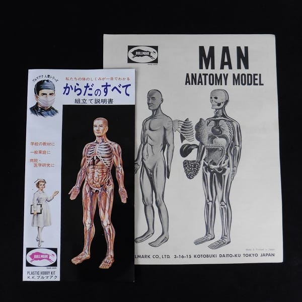 ブルマァク 人体模型 男性  プラスチック製 /  プラモデル_2