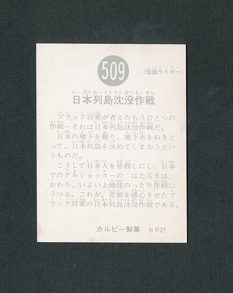カルビー 仮面ライダースナック カード 509 NR21版_2