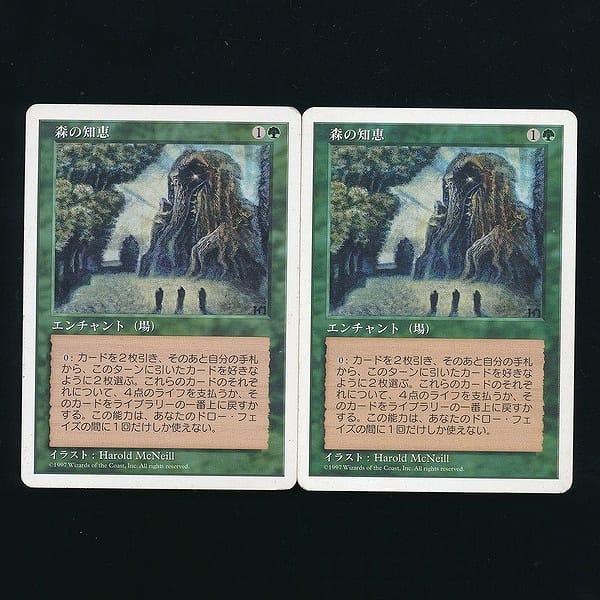 MTG 森の知恵 日本語版二枚 英語版一枚 - シングルカード