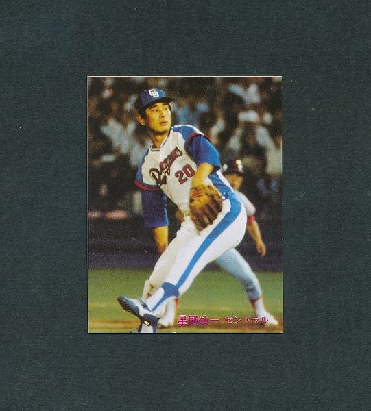 カルビー プロ野球カード 219枚 (1981年〜1989年)種類プロ野球チップス
