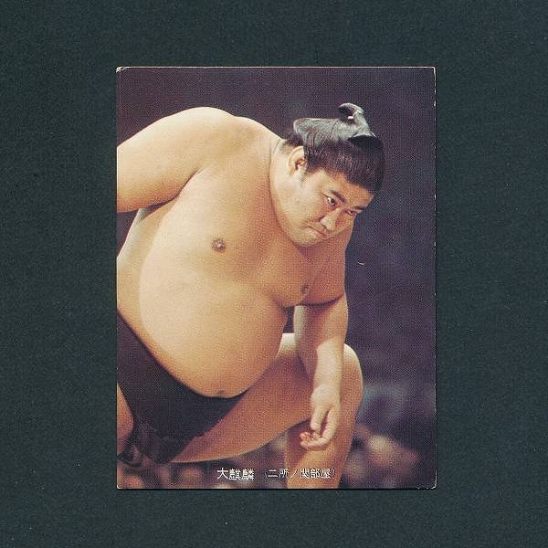 カルビー 大相撲 カード 1973年 29 大麒麟 当時物_3
