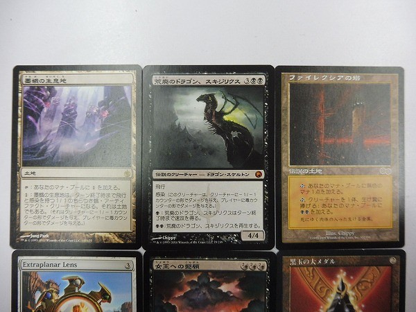 買取実績有!!】MTG 墨蛾の生息地 荒廃のドラゴン、スキジリクス 他 黒