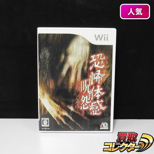 Wii ソフト 恐怖体感 呪怨