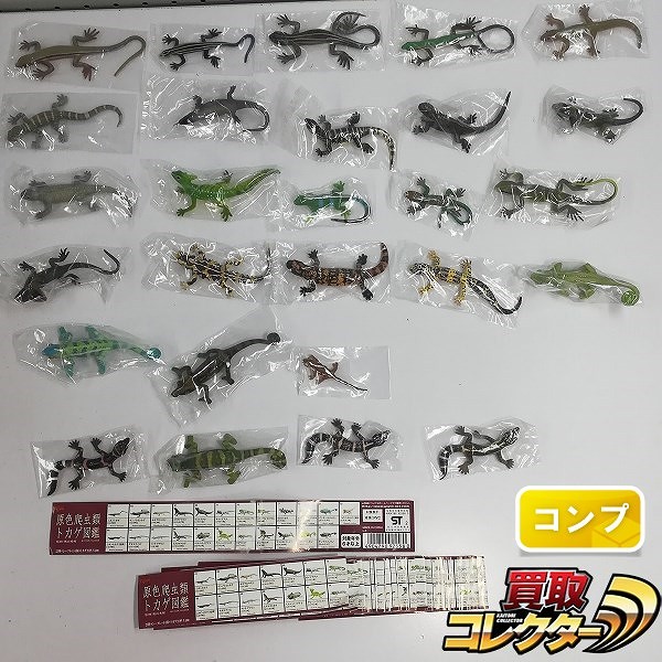 Yujin 原色爬虫類 トカゲ図鑑 シークレット含む 全27種_1