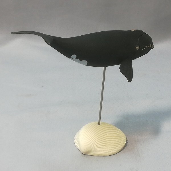 海洋堂 アクアランド 水生動物モデルコレクション セミクジラ_2