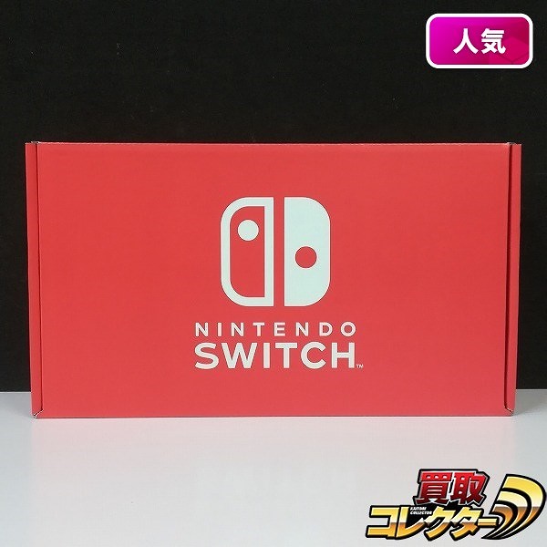 新型 Nintendo Switch カラーカスタマイズ グレー_1