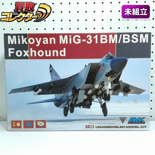 AKM 88008 1/48 ミコヤン MiG-31 BM/BSM フォックスハウンド_1