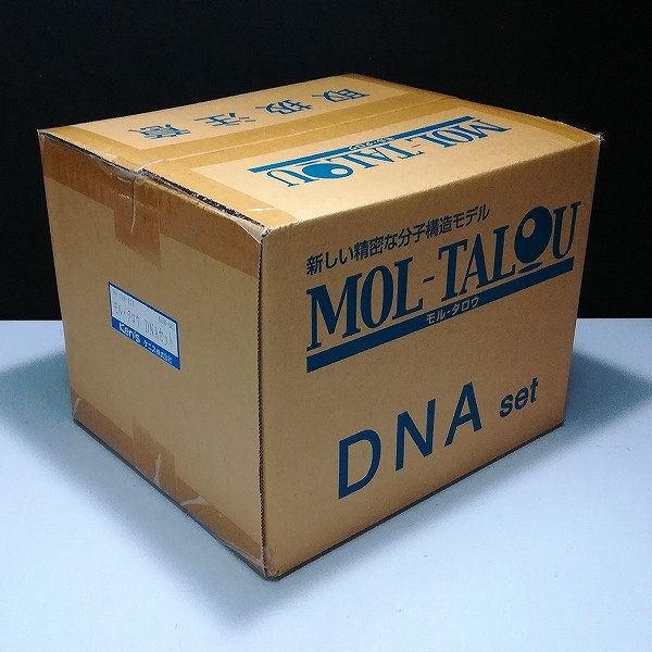 モル・タロウ 分子構造模型 DNAセット NO.138-575_2