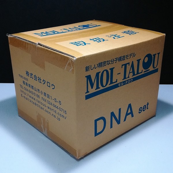 モル・タロウ 分子構造模型 DNAセット NO.138-575_3