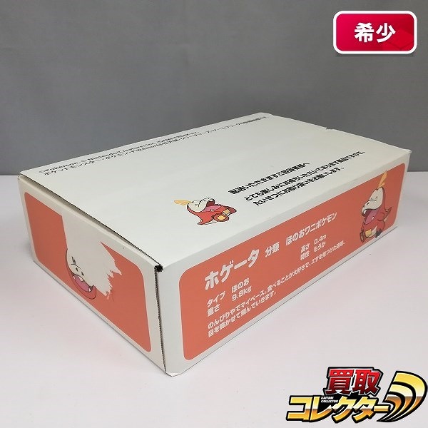 Nintendo Switch ポケットモンスター スカーレット バイオレット ダブルパック ポケモンセンターオンライン 特典付