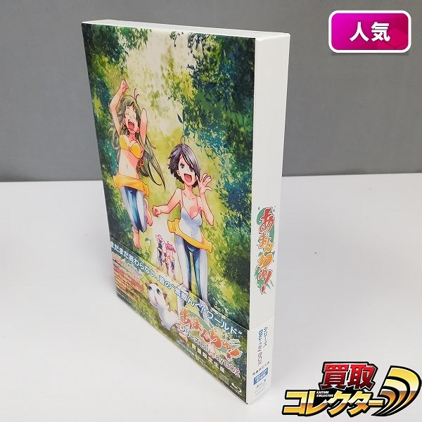 あまんちゅ! シリーズ Blu-ray BOX 数量限定生産_1