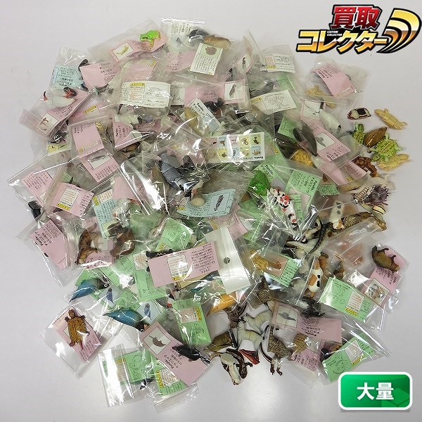 チョコエッグ 大量 ペット動物コレクション ジャンガリアンハムスター 日本の動物コレクション ビワコオオナマズ 他