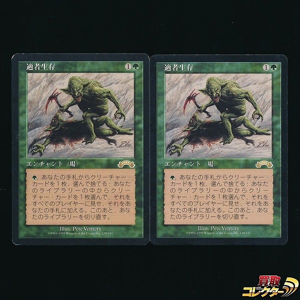 適者生存　日本語版　Mtg マジックザギャザリング 適者生存 MTG 日本語版 ギャザリング トレカ