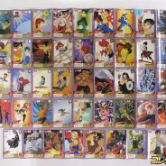 C833_1_thumb184.webp