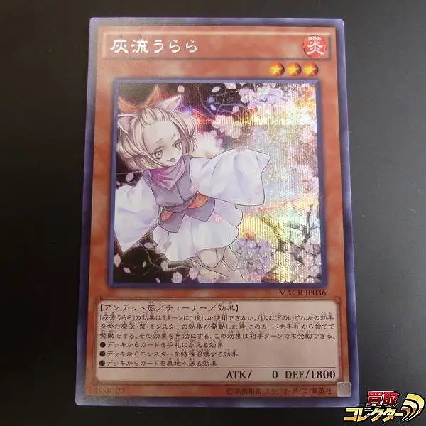 A688_1.webp