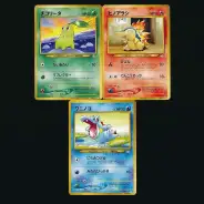 ポケモンカード チコリータ ワニノコ ヒノアラシ チャンピオンロード 旧裏プロモ 20240810072309-1.webp