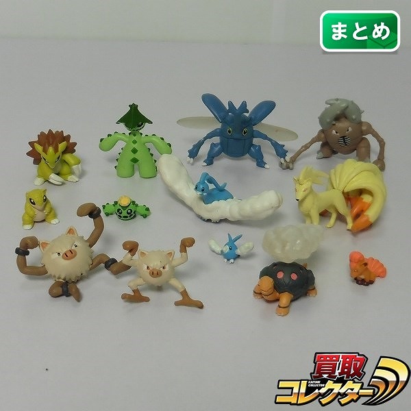 立体ポケモン図鑑 ロコン キュウコン コータス チルット チルタリス カイロス ヘラクロス 他