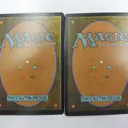 P*t様 MTGペイン土地カードセット（10枚） B516_2_thumb184.webp