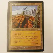 A094_3_thumb184.webp