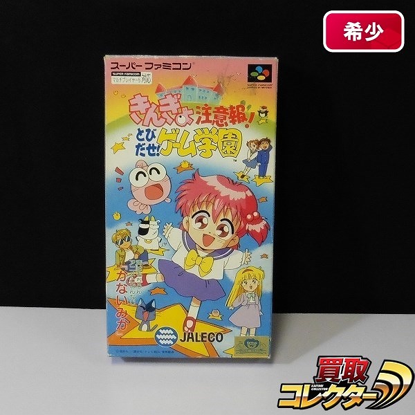 スーパーファミコン ソフト きんぎょ注意報!とびだせ!ゲーム学園