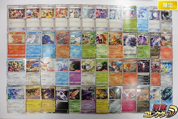 ポケモンカード プロモ ホウエン ジムバッジ 8種 エンペルト Lv.X クワガノン ボーマンダEX 他