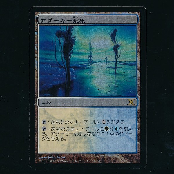 買取】MTG Foil アダーカー荒原 Adarkar Wastes 日本語 10ED 土地 レア