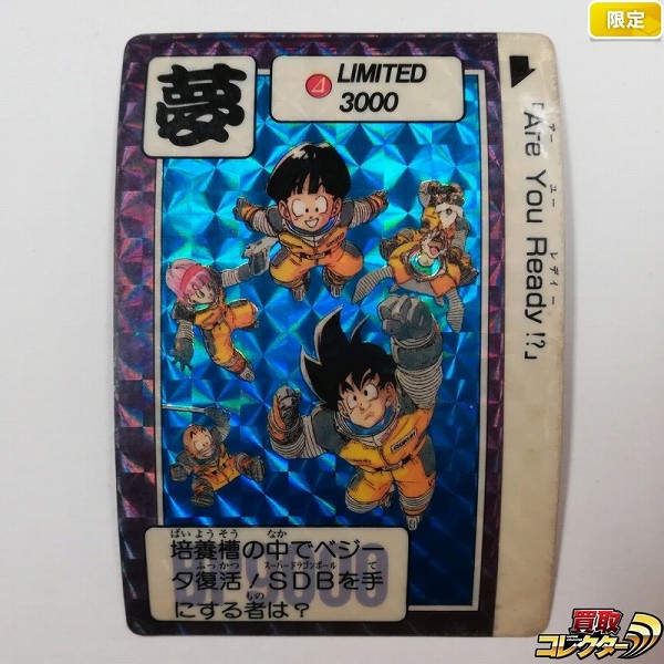 ドラゴンボール カードダス 3弾発売記念 LIMITED3000 2弾 抽プレ