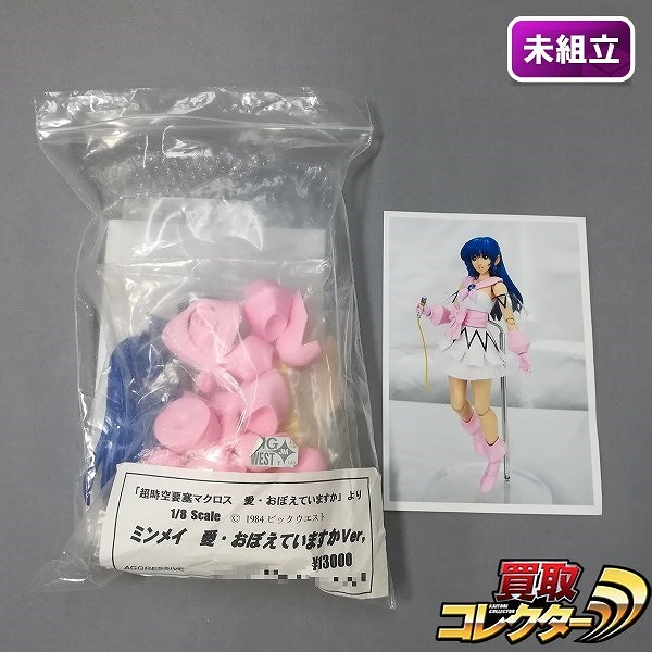 AGGRESSIVE 1/8 ミンメイ 愛・おぼえていますかver. ガレキ / 超時空要塞マクロス 愛・おぼえていますか