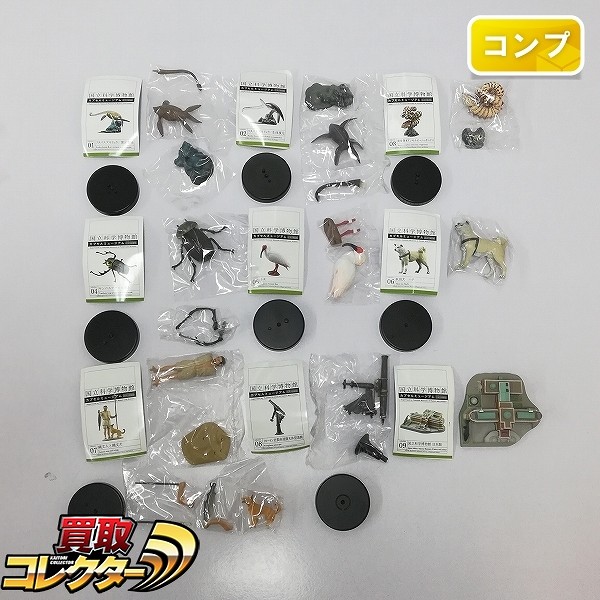 海洋堂 国立科学博物館 カプセルミュージアム 全9種