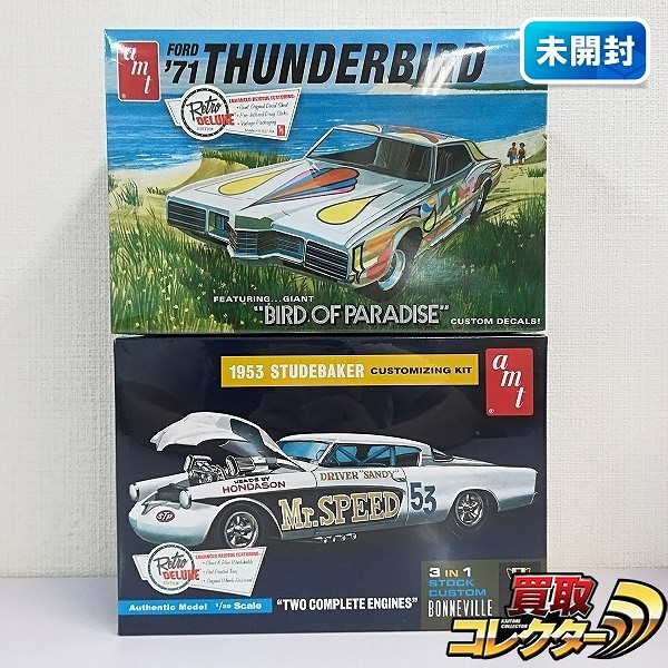 amt 1/25 '71 FORD THUNDERBIRD + 1953 STUDEBAKER CUSTOMIZING KIT