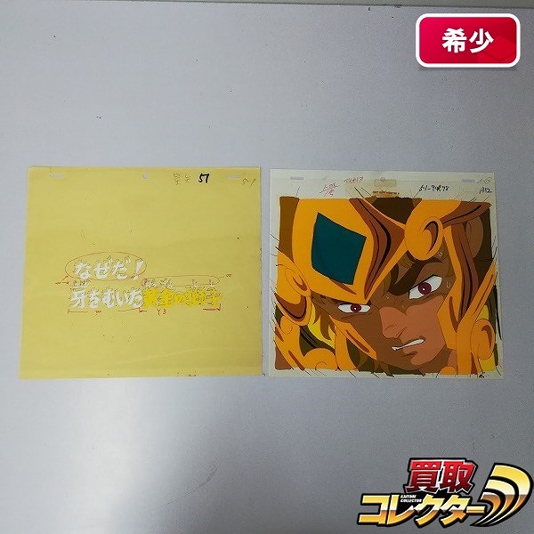 セル画 聖闘士星矢 レオアイオリア + 51話 サブタイトル