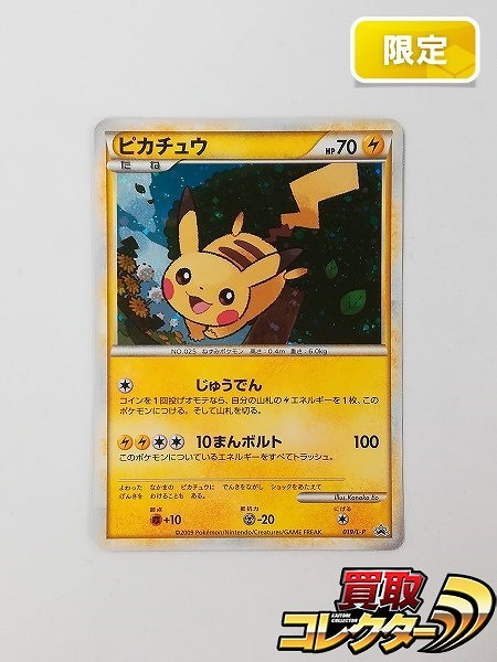 ポケモンカード ピカチュウ 019/L-P ポケモンだいすきクラブカード プロモ