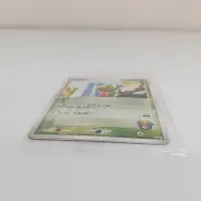 買取】ポケモンカード プロモ キモリ 037/PCG-P ポケモンセンター