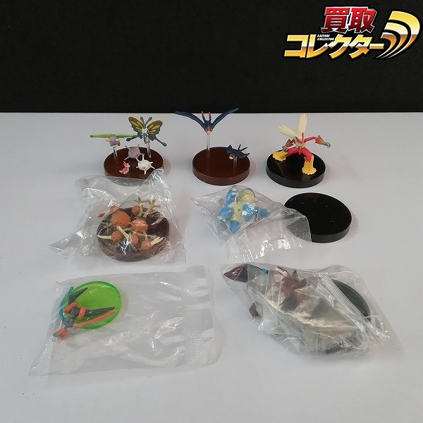 立体ポケモン図鑑 第1集 ドードー&ドードリオ スバメ&オオスバメ SPECIAL02 カメックス&バシャーモ 他