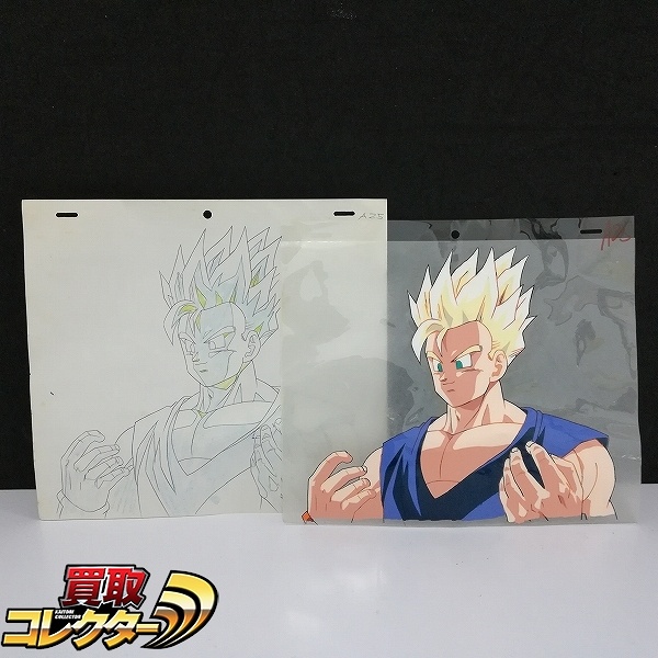ドラゴンボールZ セル画 超サイヤ人 孫悟飯 青年期 動画付