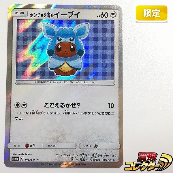 ポケモンカード ポンチョを着たイーブイ 143/SM-P ポケモンセンターキャンペーン パック購入特典