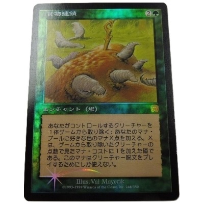 MTG MMQ 食物連鎖/Food Chain (日) Foil