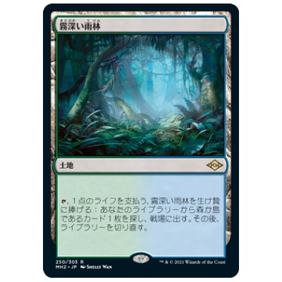 霧深い雨林 250／303 R 土地 日本語版 モダンホライゾン2 MTG