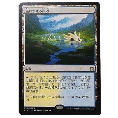 溢れかえる岸辺 233／269 R 土地 日本語版 タルキール覇王譚 MTG