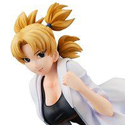 テンテン 限定販売 NARUTO-ナルト- 疾風伝 NARUTOギャルズ メガハウス