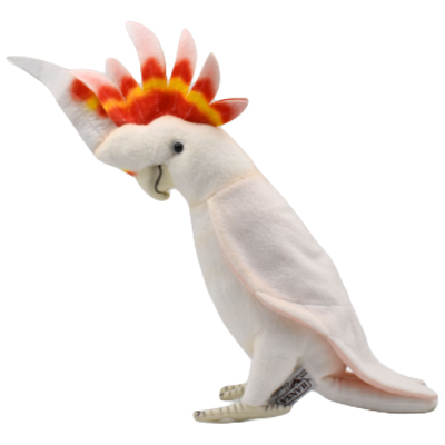 クルマサカオウム 32 MAJOR MITCHELLES COCKATOO HANSA (ハンサ)