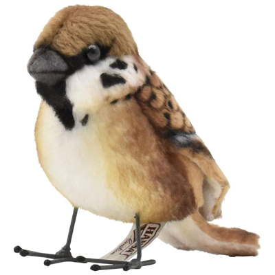 スズメ 10 TREE SPARROW HANSA (ハンサ)