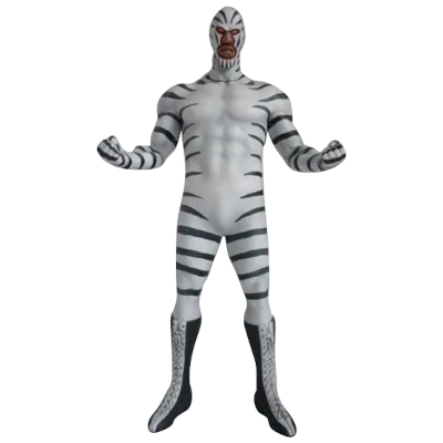 ザ・グレートゼブラ タイガーマスクグレートコレクション ジーマ