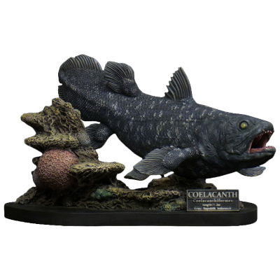 シーラカンス Wonder of wild series エクスプラス