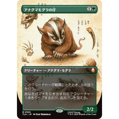 アナグマモグラの仔 Badgermole Cub  ボーダーレス TLA・JP M 0167